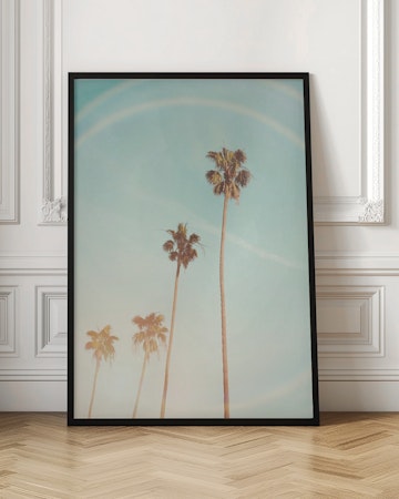 Sunny Cali Palm Tree