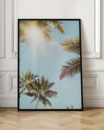 Solstrålar genom palm