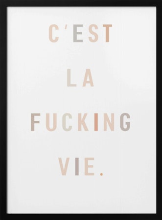 C'est la fucking vie