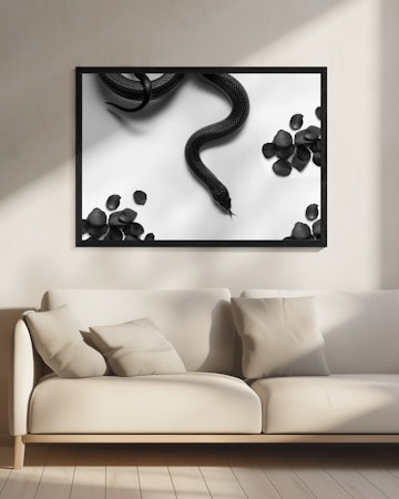 Black Snake Roam