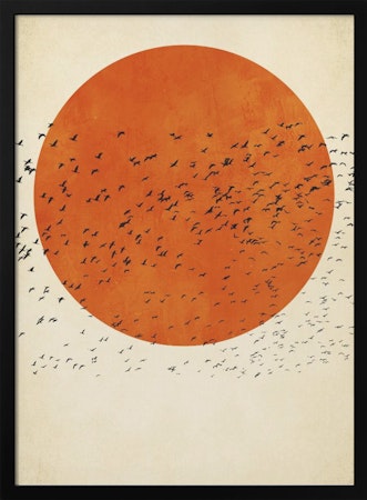 Birds In the Sun