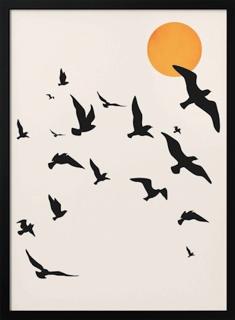 Dancing In the Sky