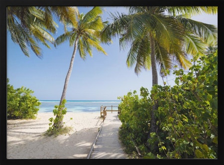 Tropical Beach