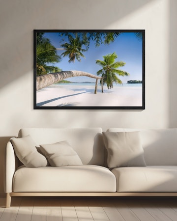 Tropical Palm