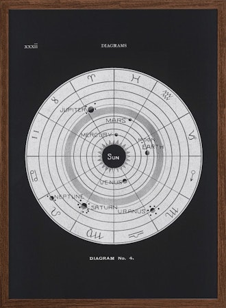 Solar Biology No.4 Black