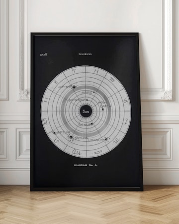 Solar Biology No.4 Black