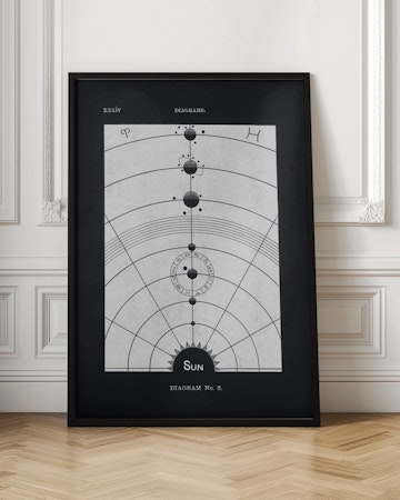 Solar Biology No. 5 Black