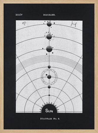 Solar Biology No. 5 Black