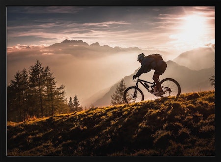 Golden hour biking