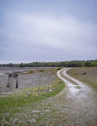 Strandvägen