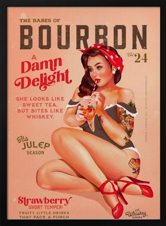 Bourbon Babes Vol 24 Vintage Pinup Girl Drinking A Cocktail