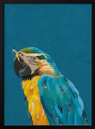 Macaw wearing glasses