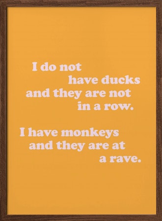 Monkeys At A Rave
