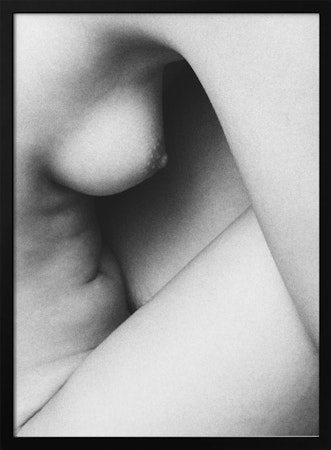Shapes