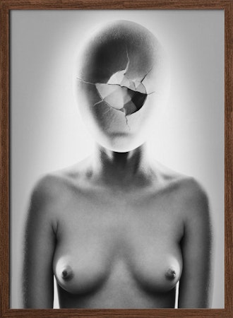 Embryonic