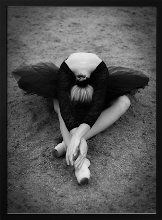 Black Swan - Den svarta svanen