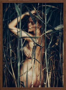 Reed Whisperer