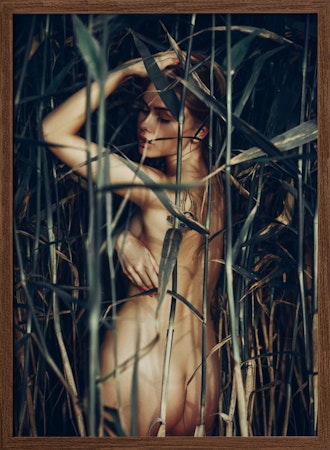 Reed Whisperer
