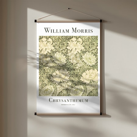 Chrysanthemum
