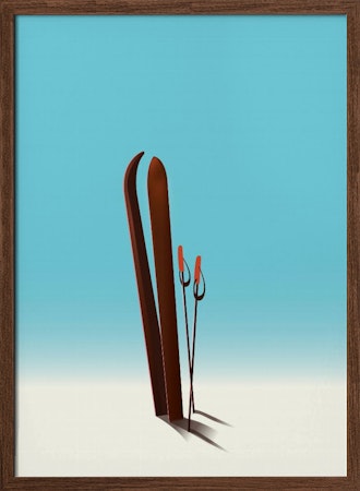 Skis - Skidor