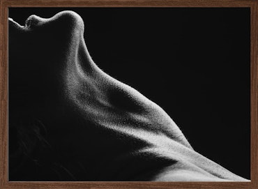 Bodies 13