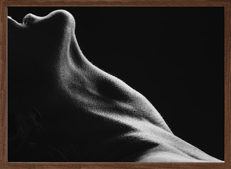 Bodies 13