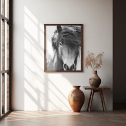Iceland Horse Blastur