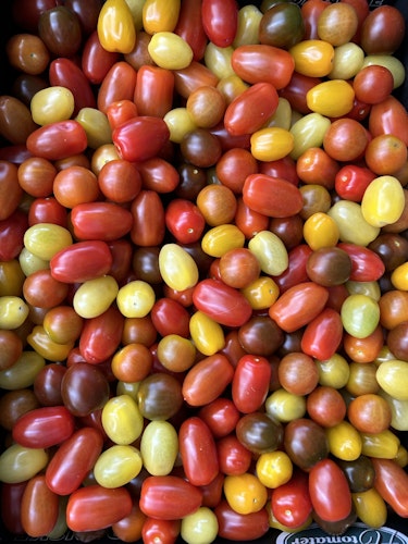Kasse med 2kg snacktomater