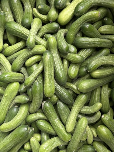 Skoleagurker 5kg
