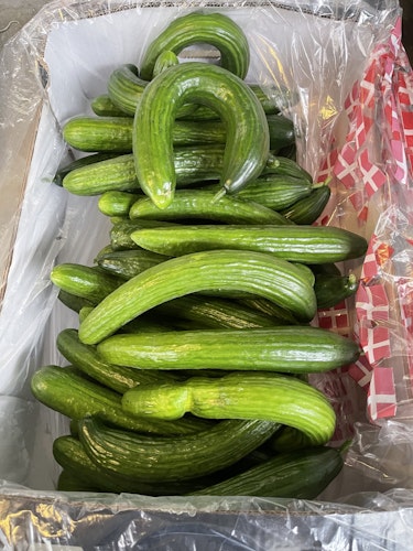 Stor kasse med store krumme agurker