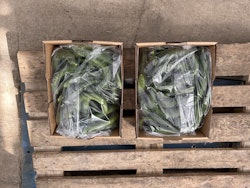 2 X 5 kg kasse