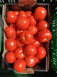 Tomat 3kg