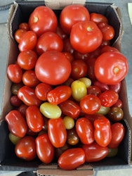 3 kg mix Tomater