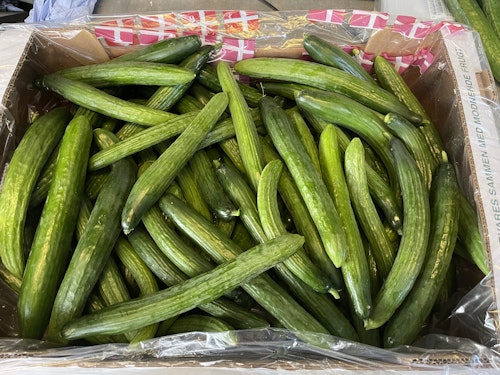12 kg agurker
