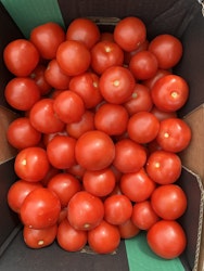 Tomat 6kg