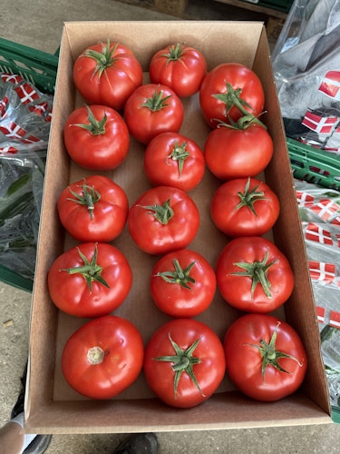 Bøf tomat 6kg