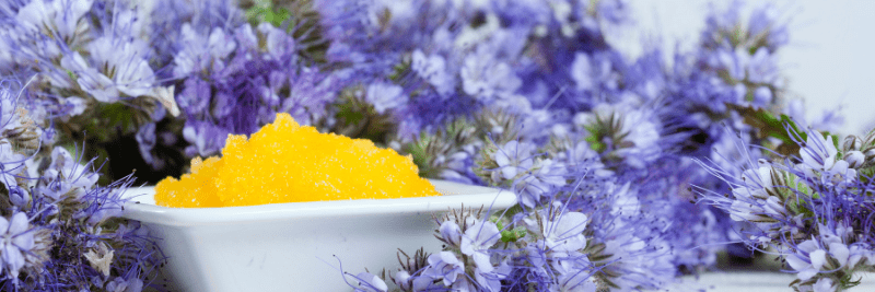 Blue Tansy: Den Hemmelige Ingrediensen for Vakker Hud