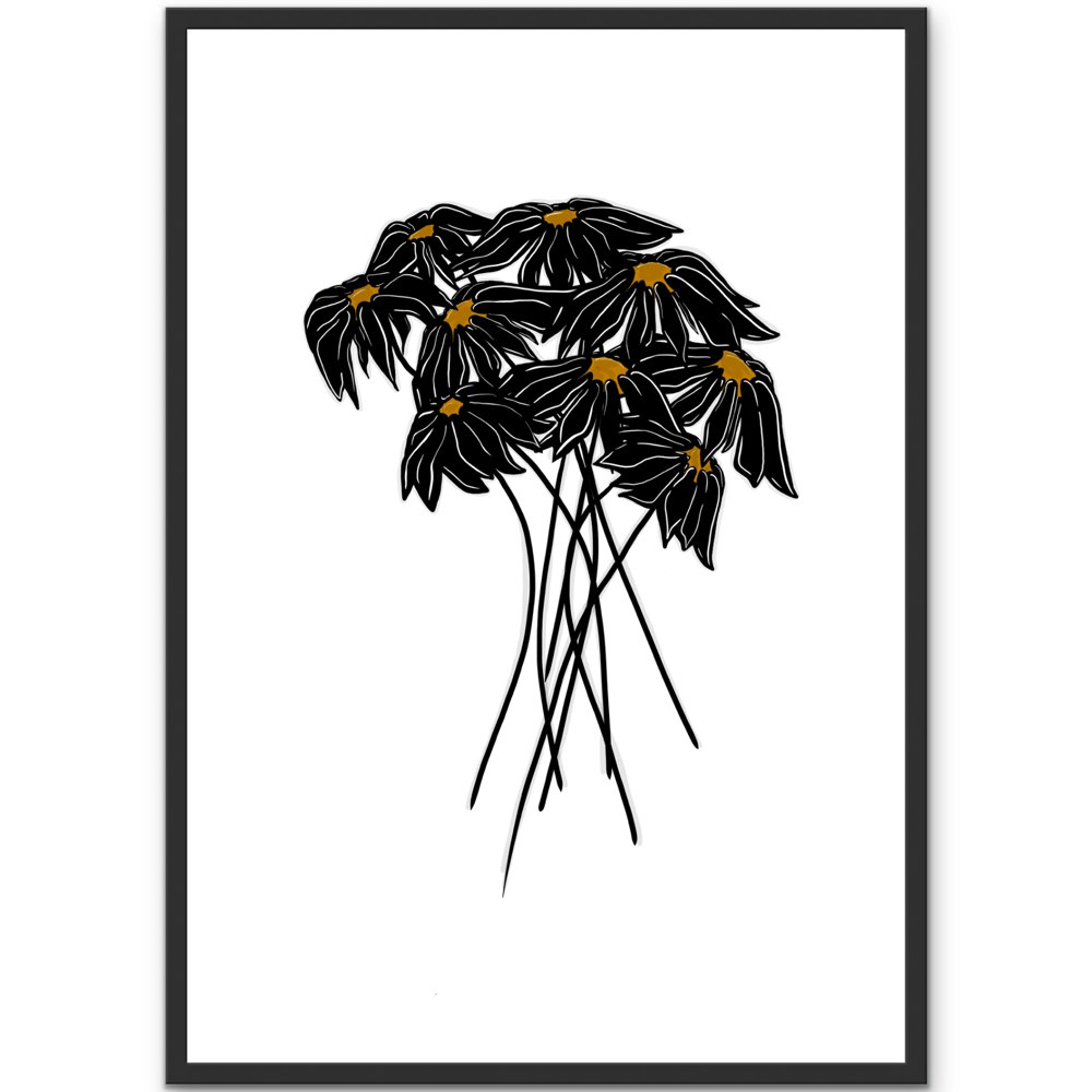 Daisies
