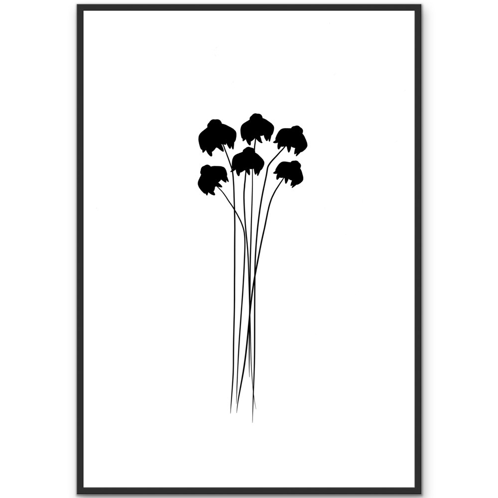 Daisies