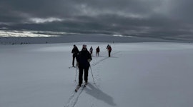 Snödagarna 2024 i Grövelsjön Variant 1: 5 dagar 16-20/3,med Turskidor, Hike och Snöskor.