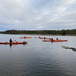 Kajak 4/6 på Stendörren naturreservat 15.30-19.00