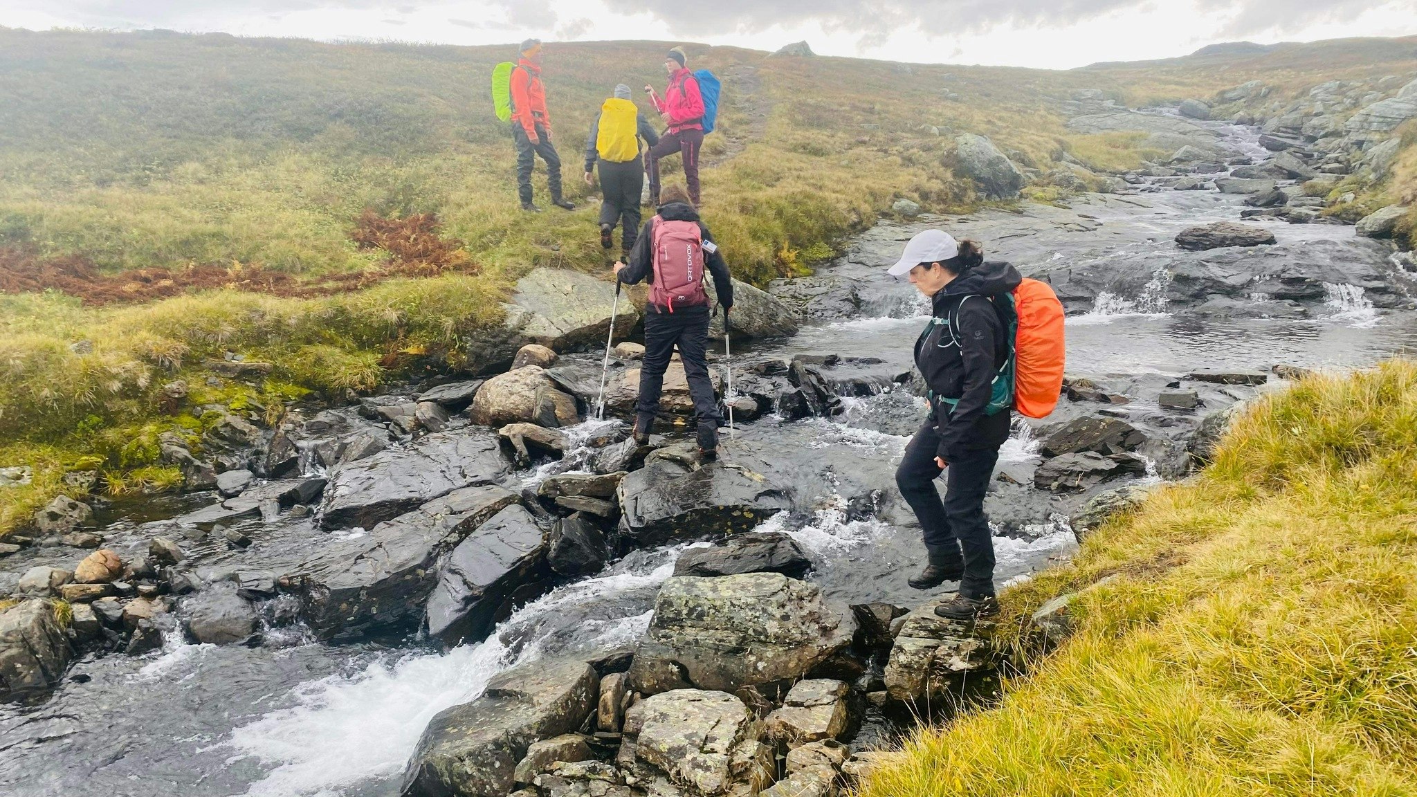 V 38: Vandra i Jämtland när det är som bäst!