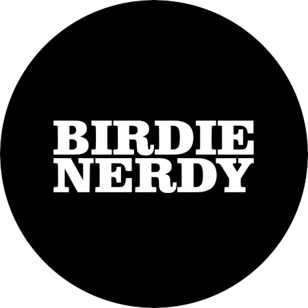 Birdie Nerdy - Stencil