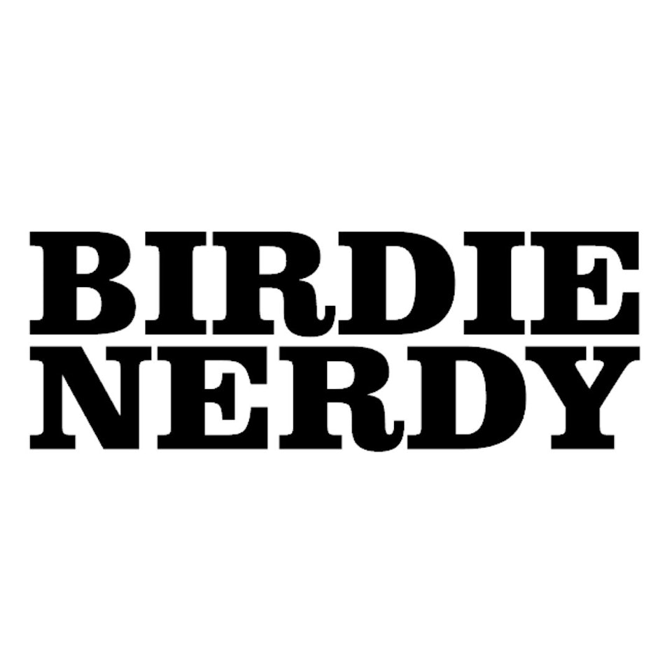 Birdie Nerdy - Stencil