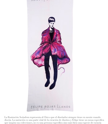 Felipe Rojas Llanos Scarfs