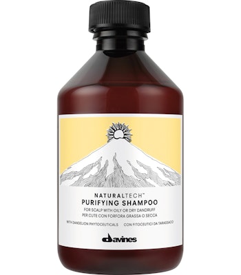 Davines Purifying Shampoo