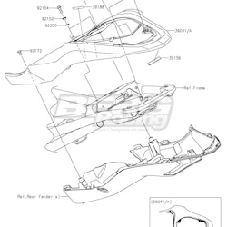 COVER-TAIL,M.S.BLACK