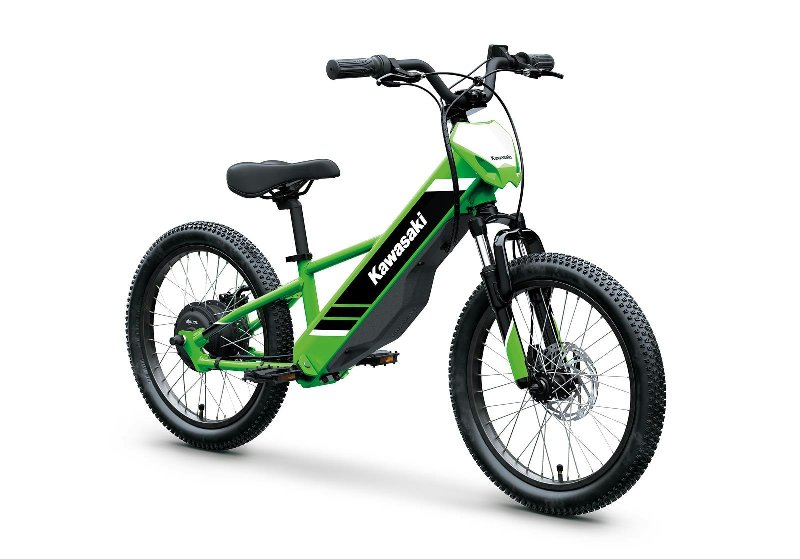 Kawasaki Elektrode20