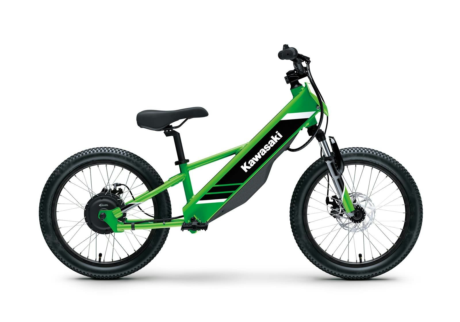 Kawasaki Elektrode20