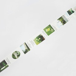 BGM Color City Washi Tape Green 20 mm
